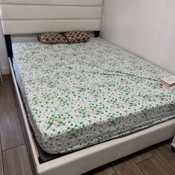 bed and mattress 
