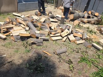 Free firewood