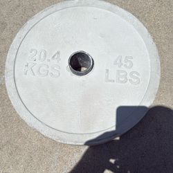 Gym Weights