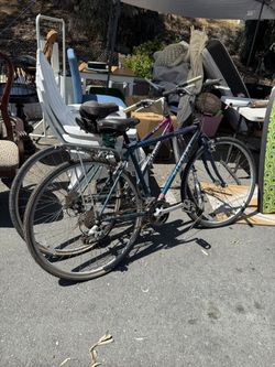 Nishiki & Raleigh bikes 