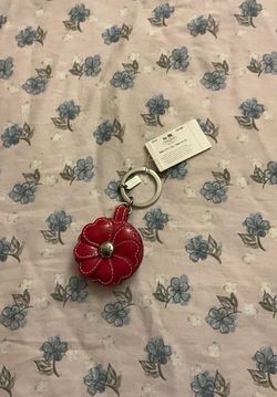 Coach keychain
