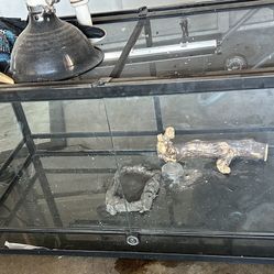 Reptile Tank 