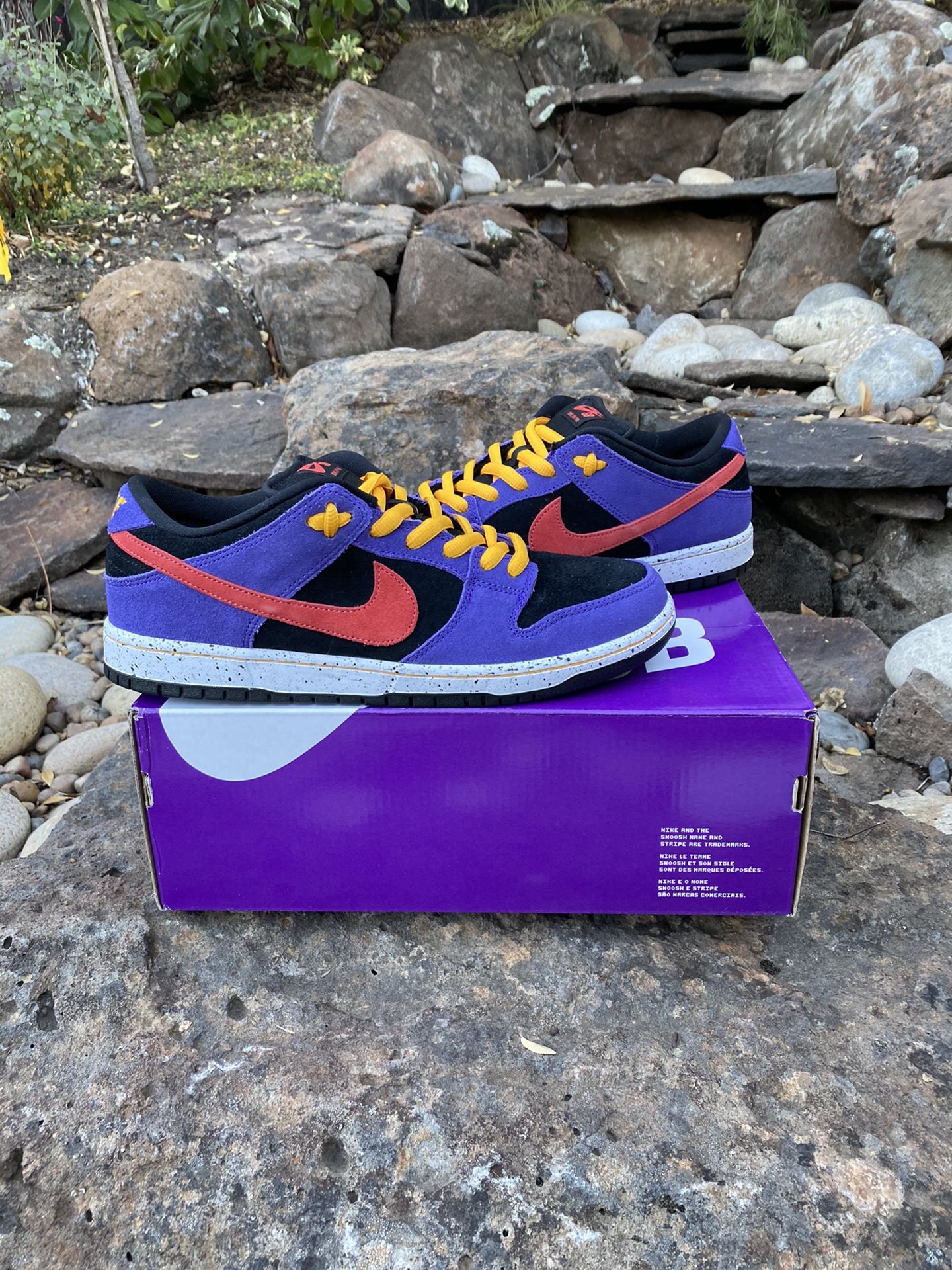 Purple Nike Acg Dunk Low Nike SB Dunk Low “ACG” Size