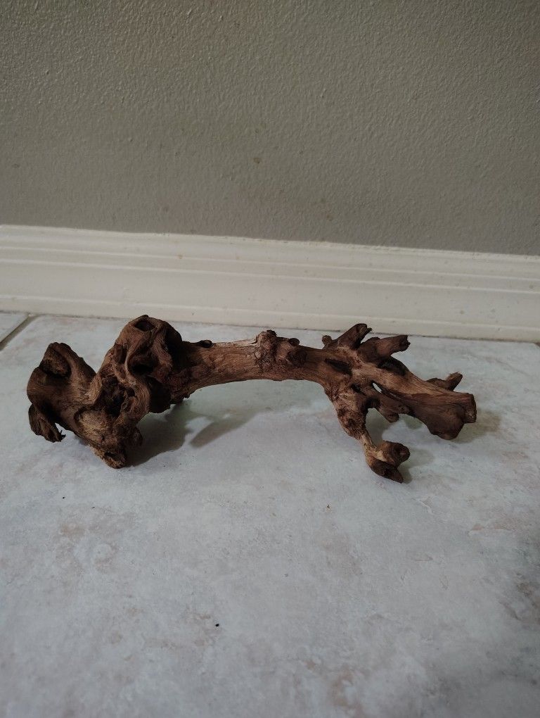 Driftwood