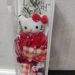 Hello Kitty Valentine Gift 
