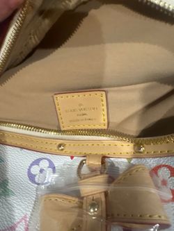 Louis Vuitton Multicolor Monogram Handbag