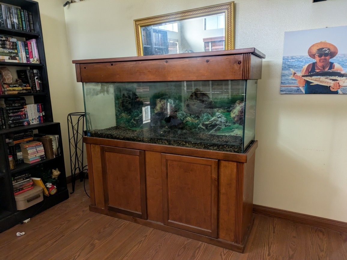 Free Fish Tank Aquarium. Need Gone Asap