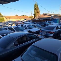 Public auctions