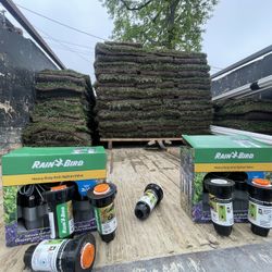 Grass And Sprinklers 