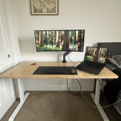 Standing Desk (Vernal) 