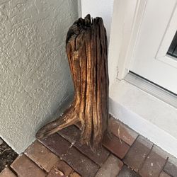 Driftwood Collection, One, Some, Or All