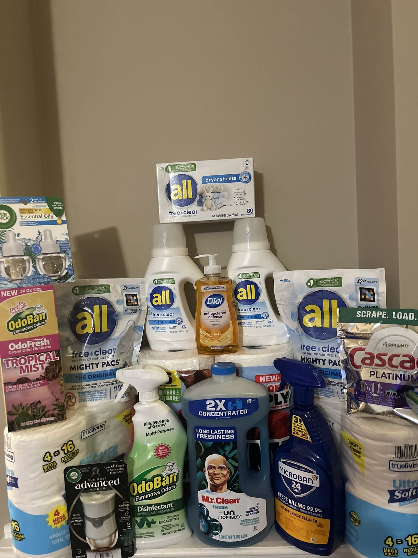 Household Bundle All/Brawny/MrClean