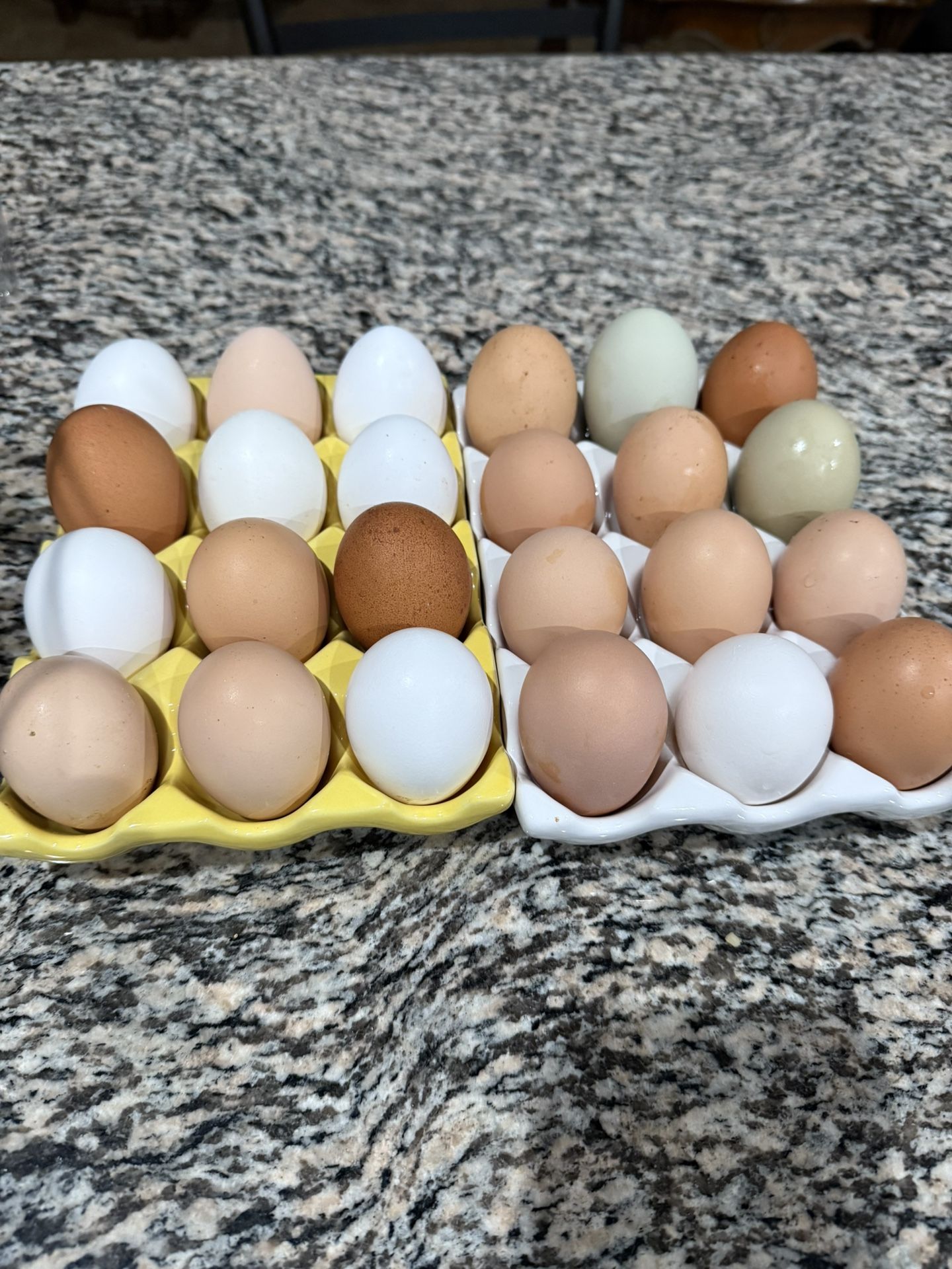 Fresh Eggs