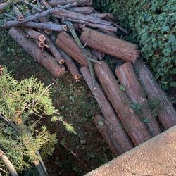 Free Firewood firewood