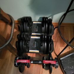 Bowflex Dumbell Set