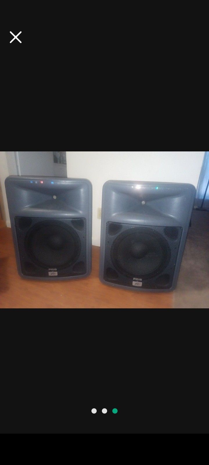 Two Non Powered Peavey Speakers