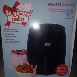 New Air Fryer 
