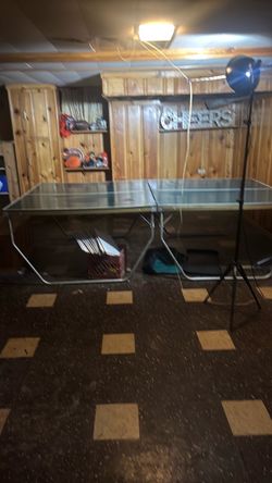Ping Pong Table with Net