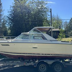 1979 22ft Searay Moving Sale
