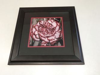 Framed in Black with Red Trim Picture, Size 15x15