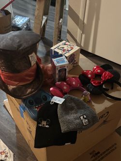 Disney gear