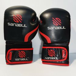 Kickboxing Gloves 16 Oz