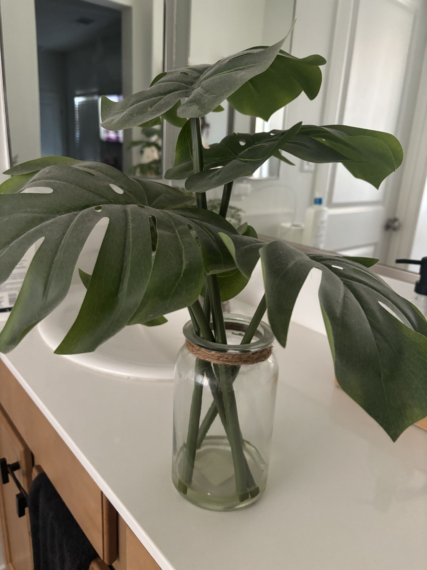 fake plant 
