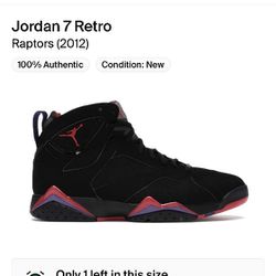 Jordan 7 Retro Raptors (2012) Lightly Used Size 10.5