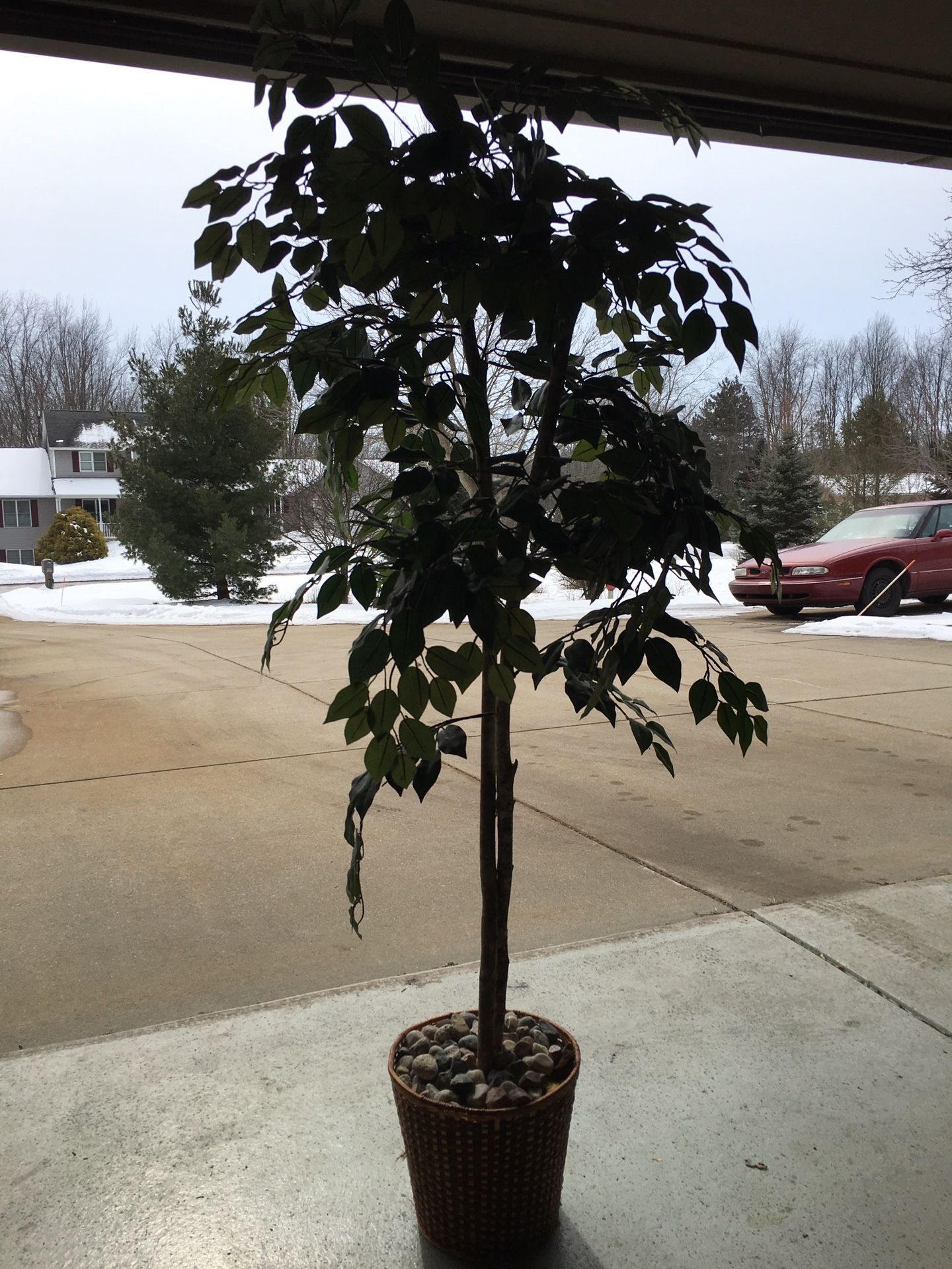Indoor/outdoor tree $10