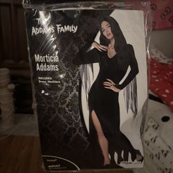 Morticia Costume