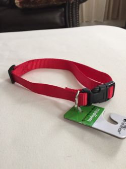 Dog Collar Sz Med