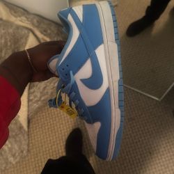 Nike Dunks Low(unc)