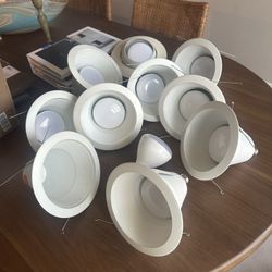 Can lights And LED bulbs 