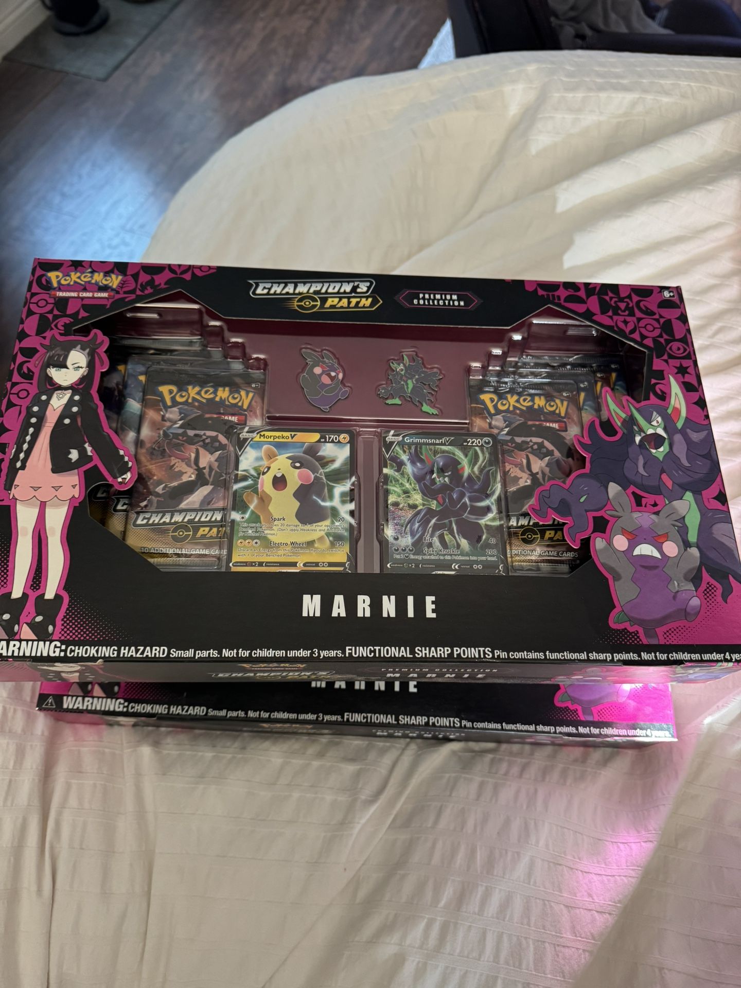 Pokemon Champions Path Marnie