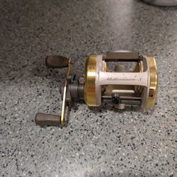 Millionaire S 300fresh/Salt Water Fishing Reel