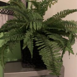 Artificial Plant
