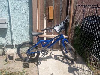 Blue bike