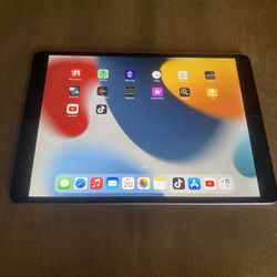 iPad 