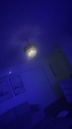 Ceiling Light