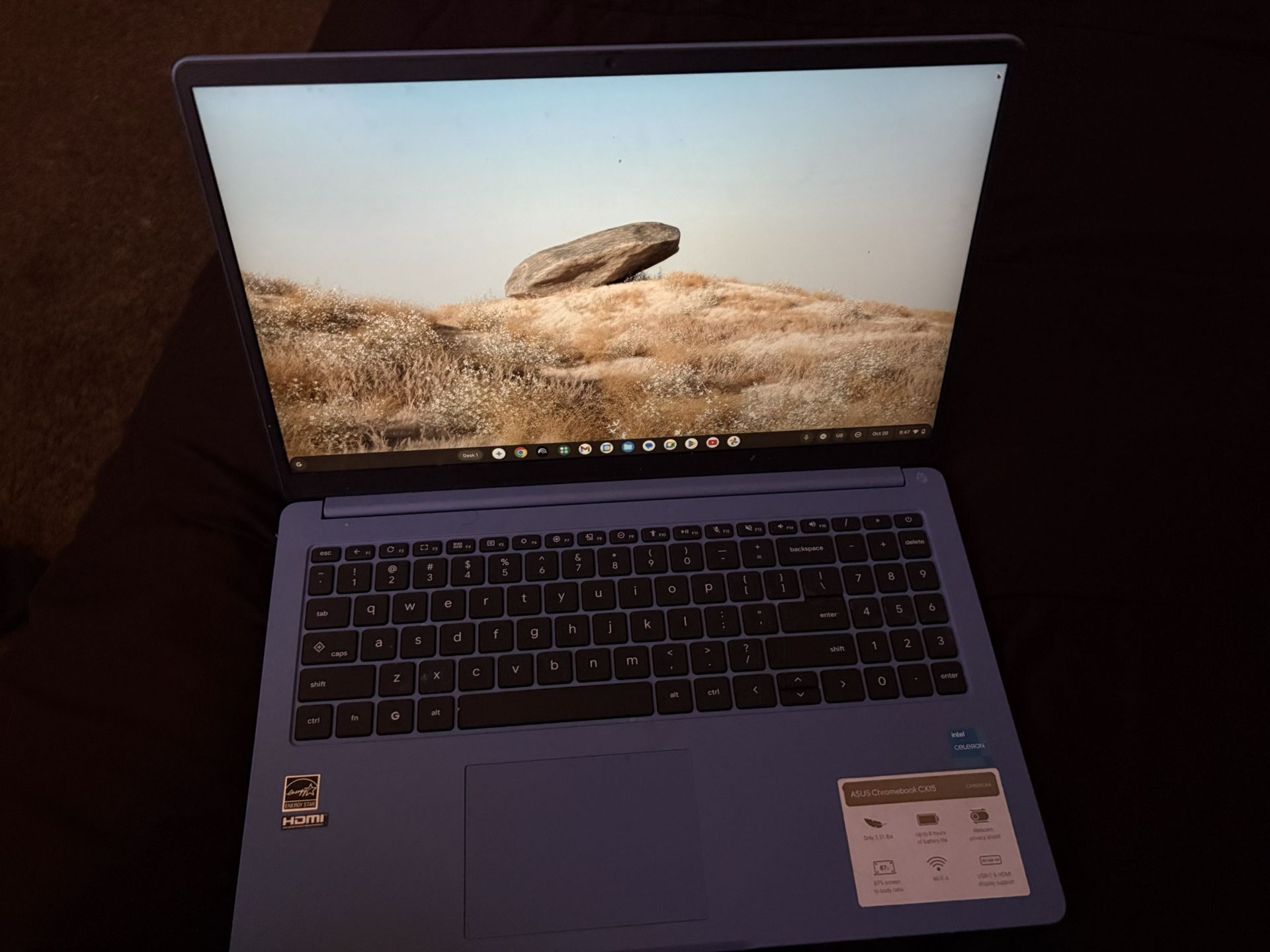 Chromebook Asus