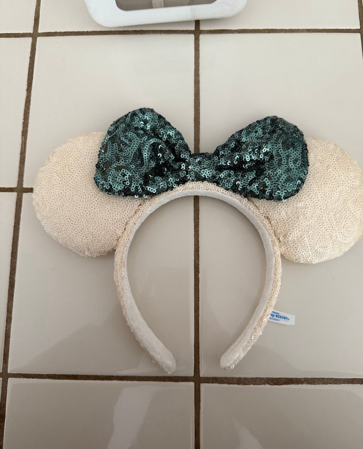 Disney Tokyo ears