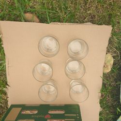 Glass Cup
