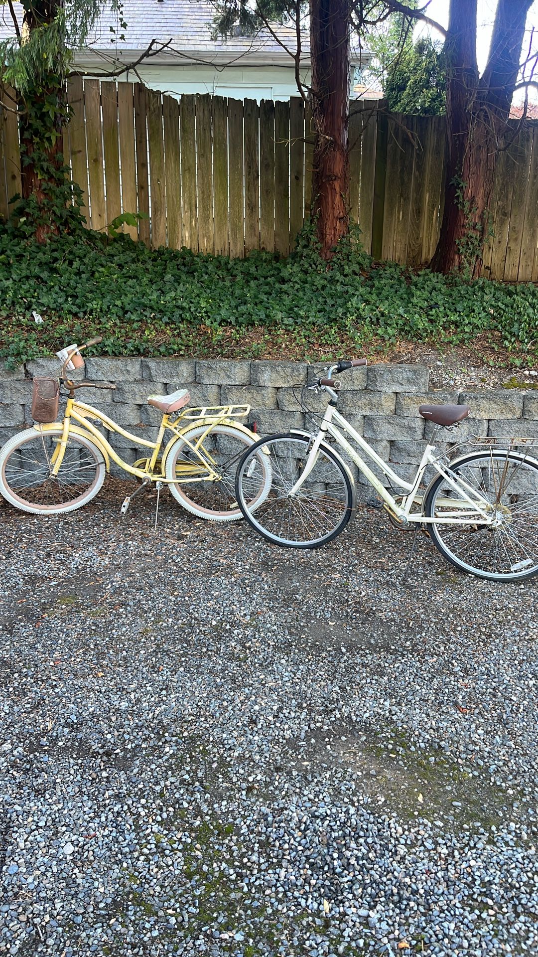 2 Project Bikes 