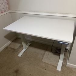 Stand Up Electronic Desk