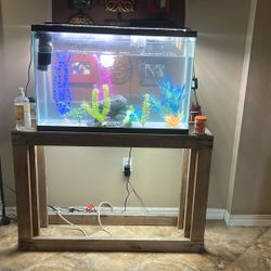Fish Tank And Stand