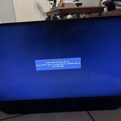 Vizio 24 Inch Flatscreen/Monitor