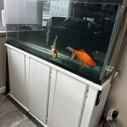 55 Gallon Fishtank With Stand, Filter, Aeration Pump And Heater