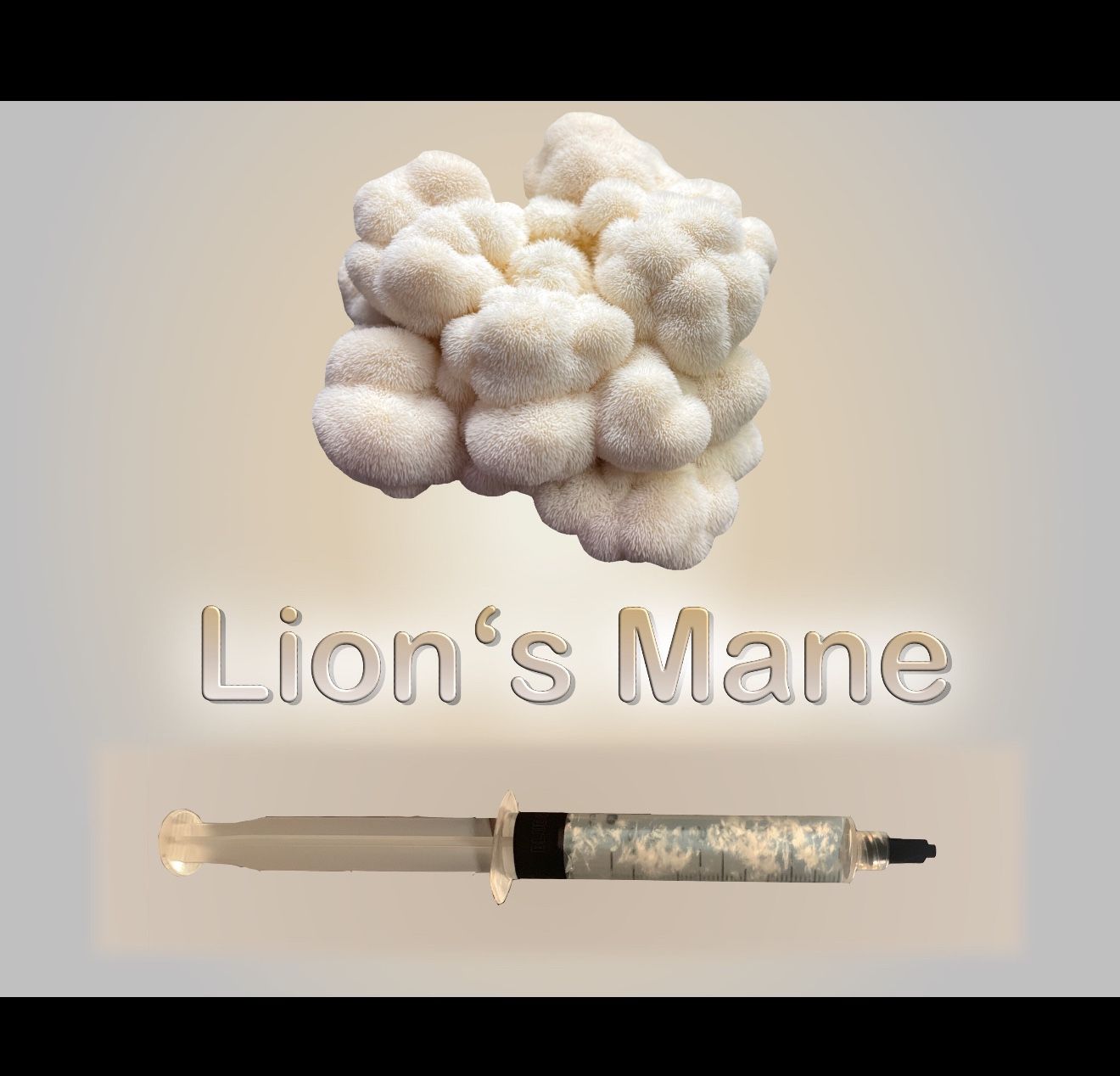Lions Mane Syringe