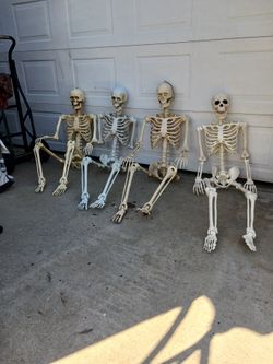 Halloween Skeleton  - $30 Each