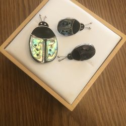 Pin And Earrings Set